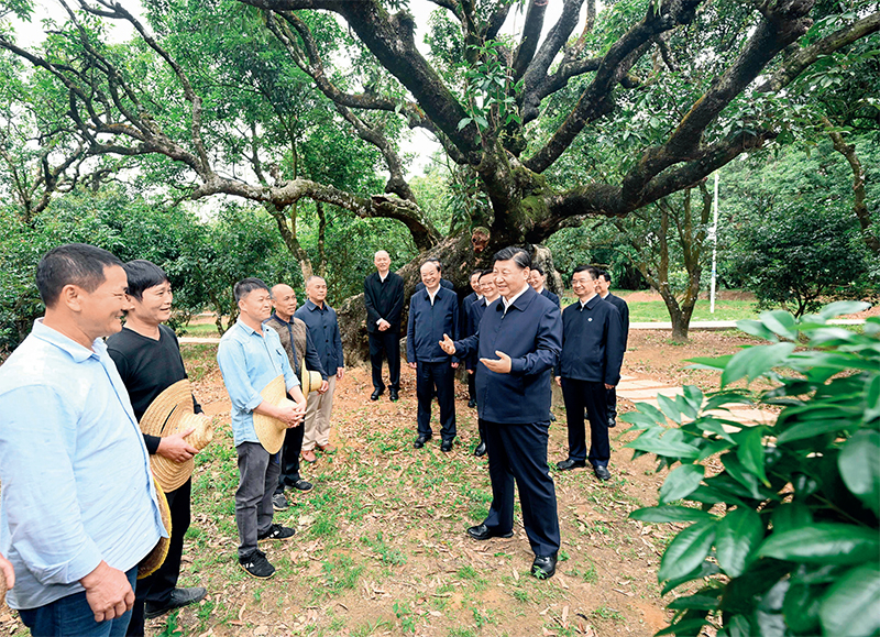 2023年4月10日至13日，中共中央總書記、國家主席、中央軍委主席習(xí)近平在廣東考察。這是11日下午，習(xí)近平在茂名高州市根子鎮(zhèn)柏橋村荔枝種植園，同現(xiàn)場(chǎng)技術(shù)人員親切交流。