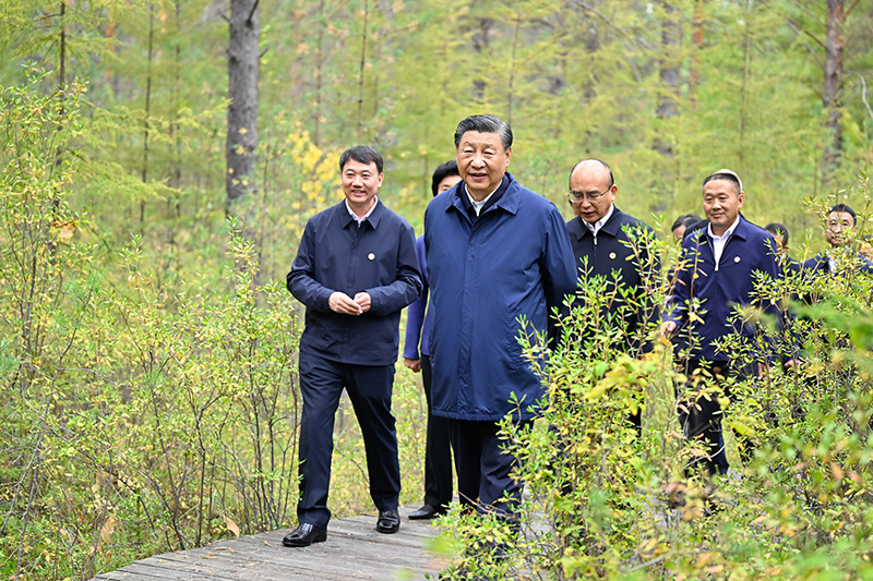 9月6日至8日，中共中央總書(shū)記、國(guó)家主席、中央軍委主席習(xí)近平在黑龍江考察。這是6日下午，習(xí)近平在大興安嶺地區(qū)漠河市漠河林場(chǎng)自然林區(qū)考察